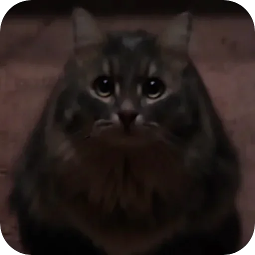 😈 Стикер «Pibimpab» для Telegram