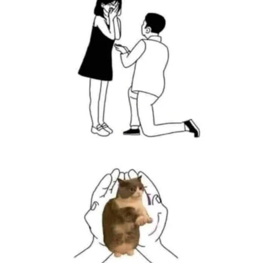 💍 Стикер «пикчи и коти» для Telegram