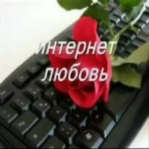 ❔ Стикер «Пикчисы» для Telegram