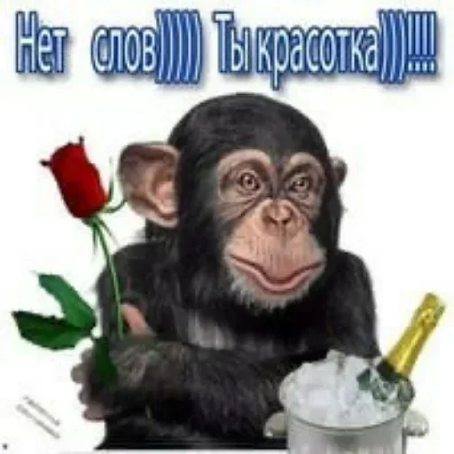 ❔ Стикер «Пикчисы» для Telegram