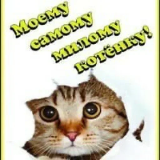 ❔ Стикер «Пикчисы» для Telegram