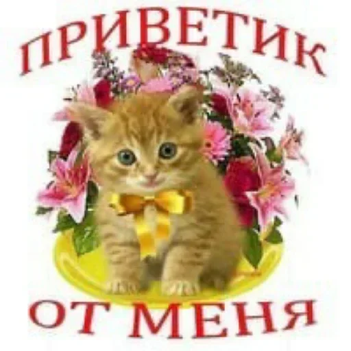 ❔ Стикер «Пикчисы» для Telegram
