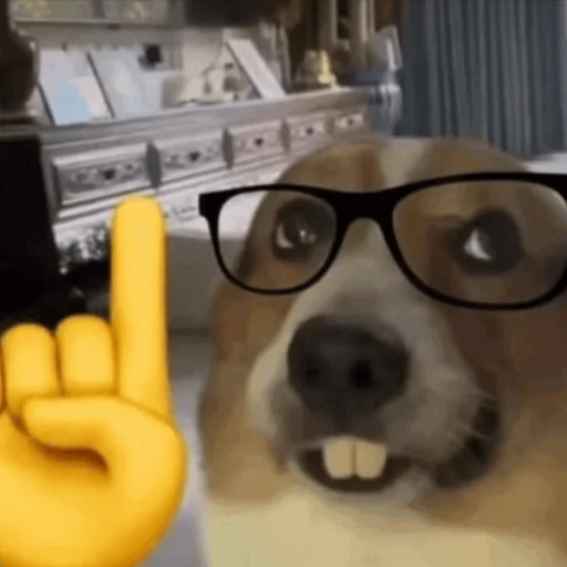 🤓 Стикер «Пикчи» для Telegram