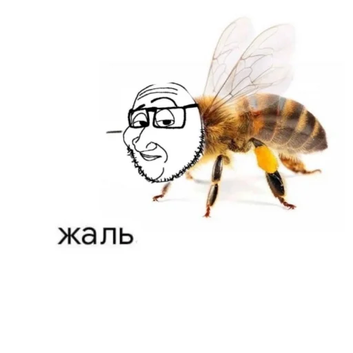 😥 Стикер «Пикчи» для Telegram