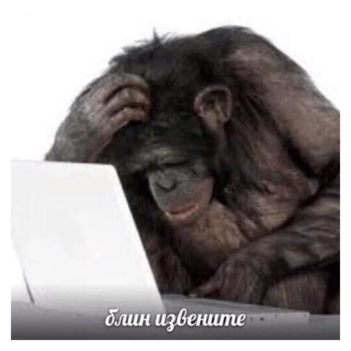 🤔 Стикер «НСВП» для Telegram