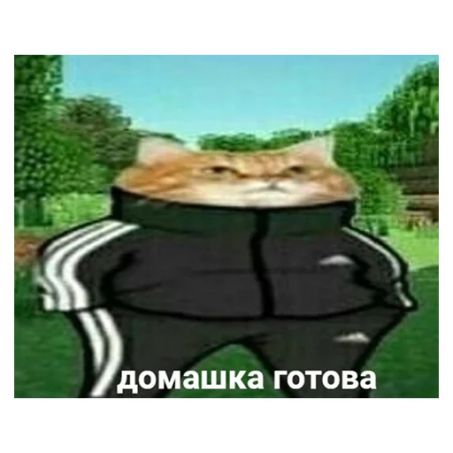 😎 Стикер «НСВП» для Telegram