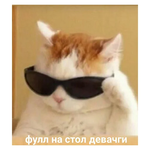 🤤 Стикер «НСВП» для Telegram