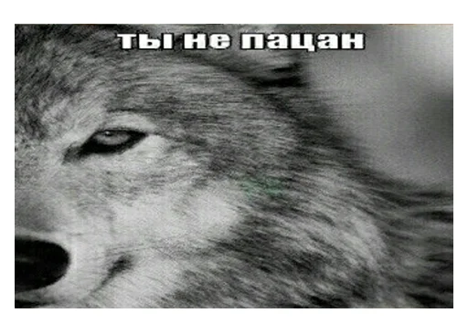 😏 Стикер «НСВП» для Telegram