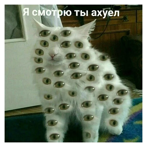 😡 Стикер «НСВП» для Telegram