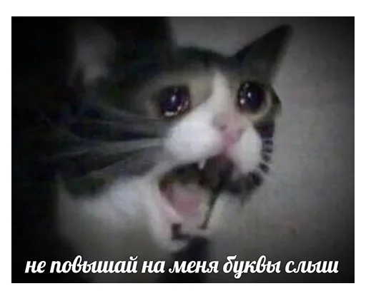 🤨 Стикер «НСВП» для Telegram