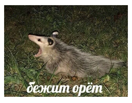😮 Стикер «НСВП» для Telegram