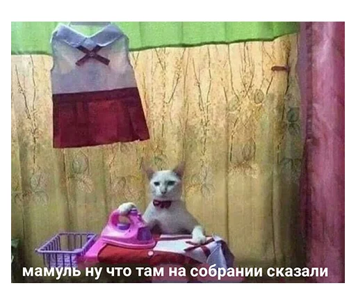 🤓 Стикер «НСВП» для Telegram