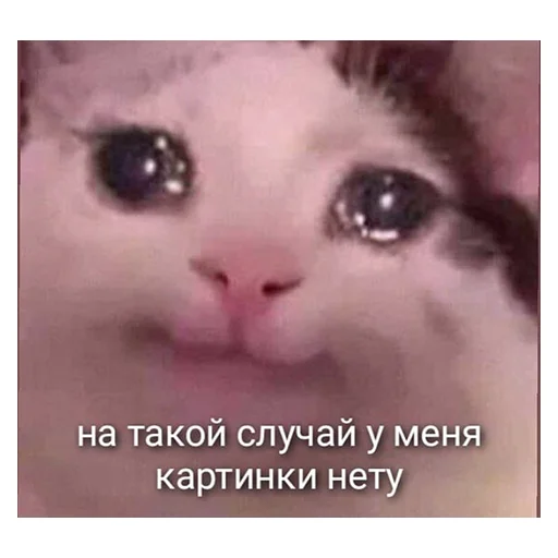 😐 Стикер «НСВП» для Telegram