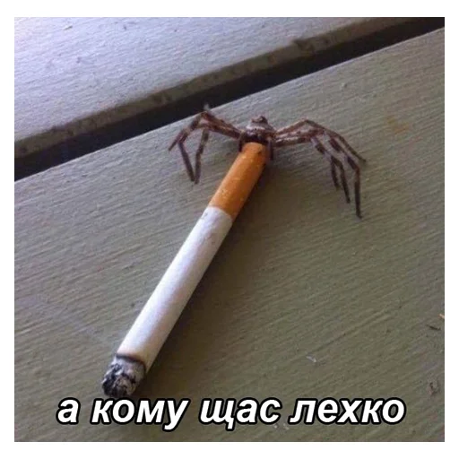😔 Стикер «НСВП» для Telegram