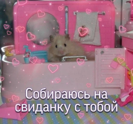 💗 Стикер «Пикчи для общения» для Telegram