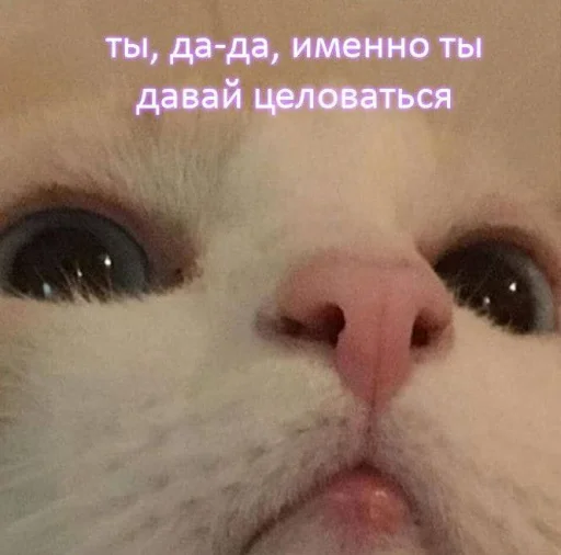 💋 Стикер «Пикчи для общения» для Telegram
