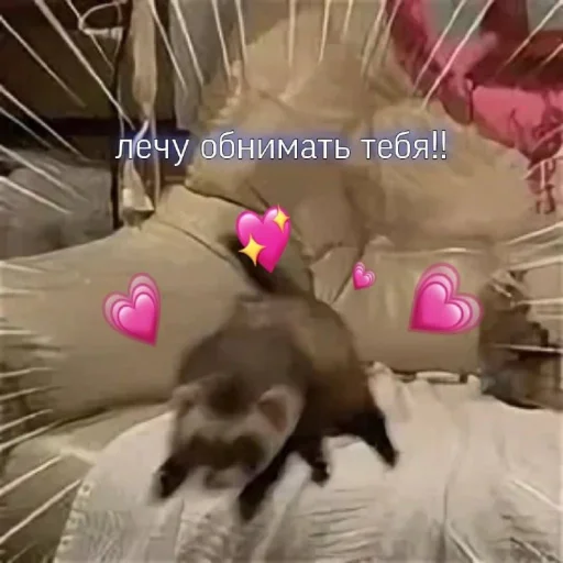 🫂 Стикер «Пикчи для общения» для Telegram