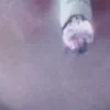 🚬 Эмодзи «anime» для Telegram