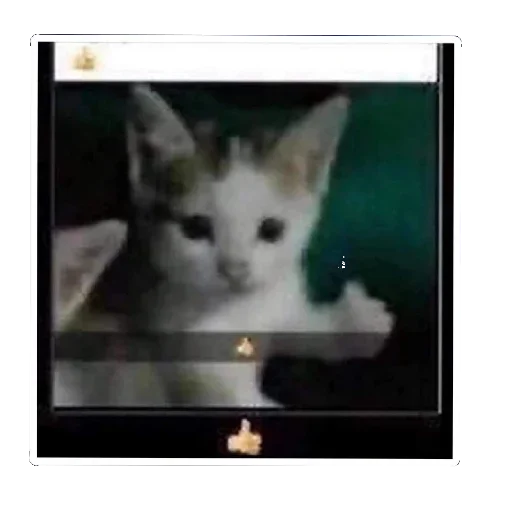 🕸 Стикер «Пички» для Telegram