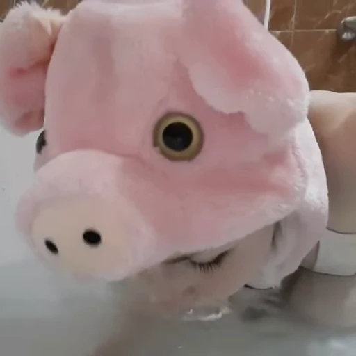 Стикерпак piggies для Telegram