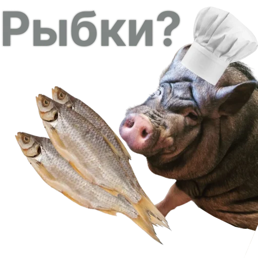 🐟 Стикер «Свинья-Кулинар» для Telegram