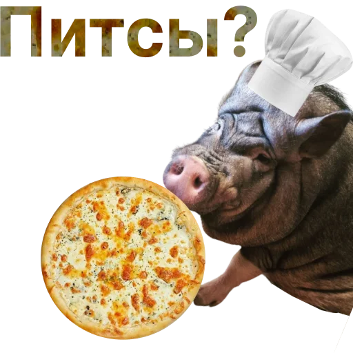 🍕 Стикер «Свинья-Кулинар» для Telegram