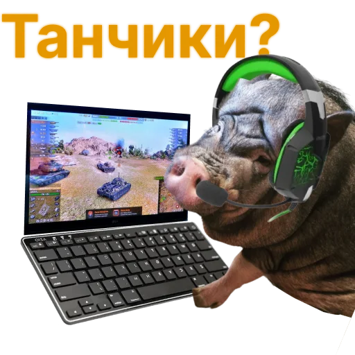 🫡 Стикер «Свинья-Кулинар» для Telegram