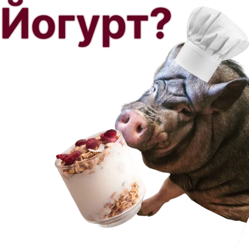 🧁 Стикер «Свинья-Кулинар» для Telegram