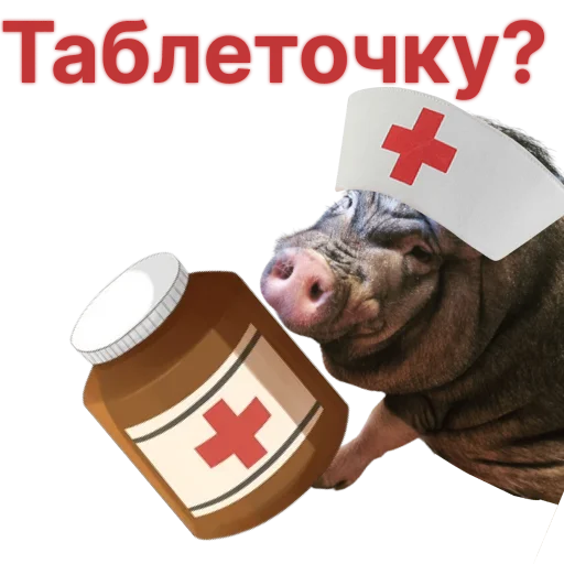 🤧 Стикер «Свинья-Кулинар» для Telegram
