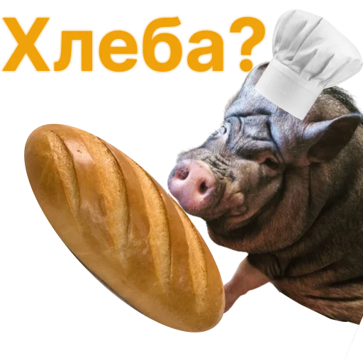 🥖 Стикер «Свинья-Кулинар» для Telegram