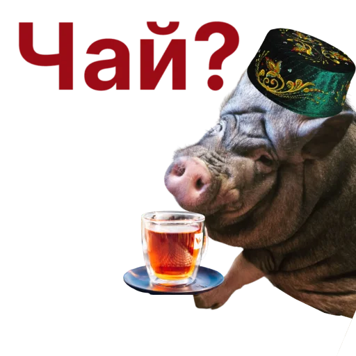 🫖 Стикер «Свинья-Кулинар» для Telegram