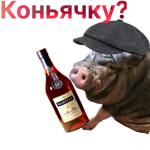 🥃 Стикер «Свинья-Кулинар» для Telegram
