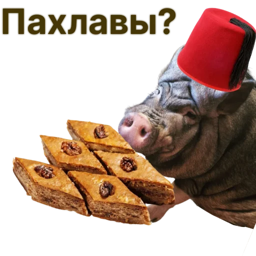 🍪 Стикер «Свинья-Кулинар» для Telegram