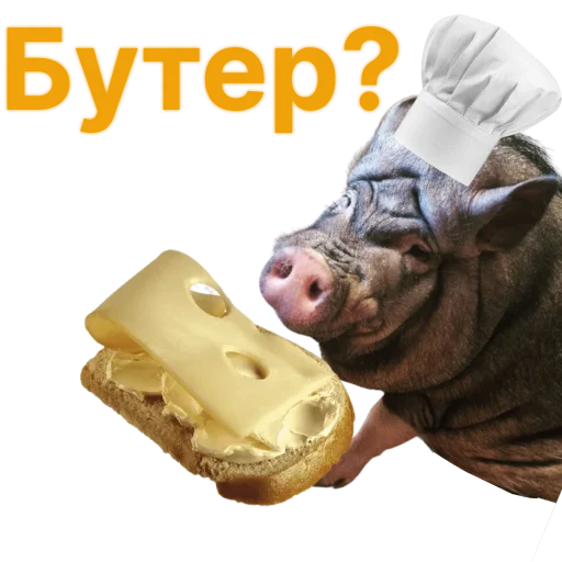 Стикерпак Свинья-Кулинар для Telegram