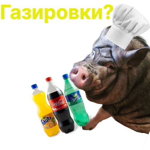 🥤 Стикер «Свинья-Кулинар» для Telegram