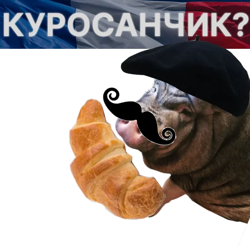 🌙 Стикер «Свинья-Кулинар» для Telegram