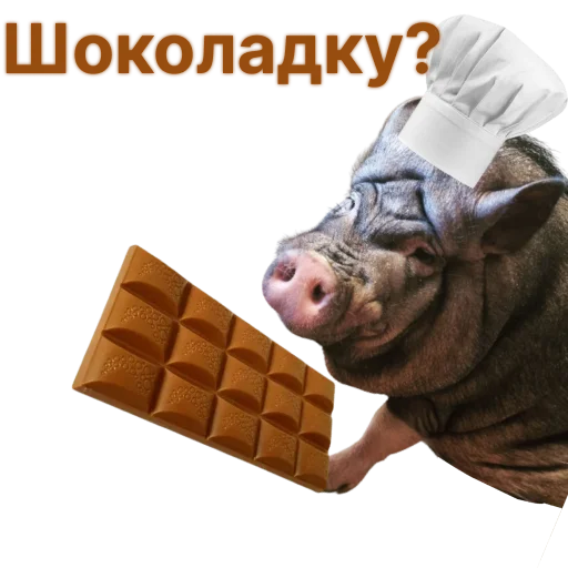 🍫 Стикер «Свинья-Кулинар» для Telegram