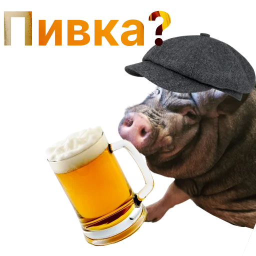 🍺 Стикер «Свинья-Кулинар» для Telegram