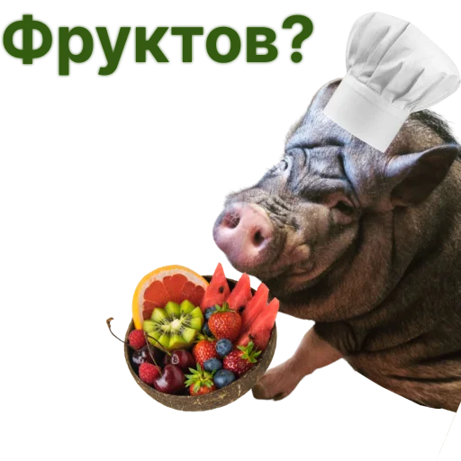🍒 Стикер «Свинья-Кулинар» для Telegram