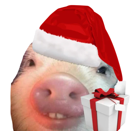 🎅 Стикер «Поросята» для Telegram