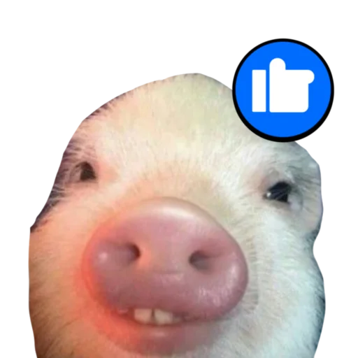 👍 Стикер «Поросята» для Telegram