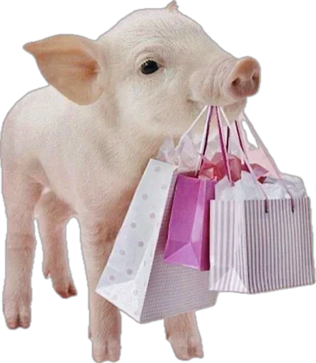 🐽 Стикер «pigspack» для Telegram