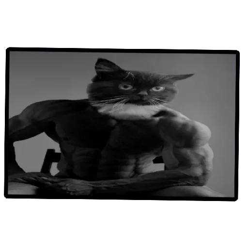 😼 Стикер «Пикчи (ingysk64)» для Telegram