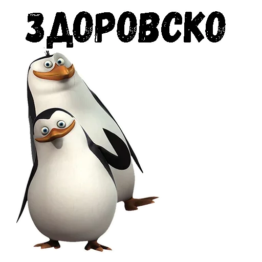 😙 Стикер «Пингвин из Мадагаскара» для Telegram