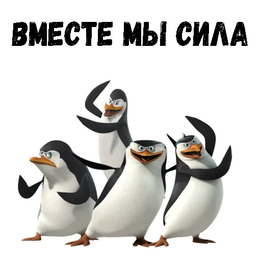 😗 Стикер «Пингвин из Мадагаскара» для Telegram