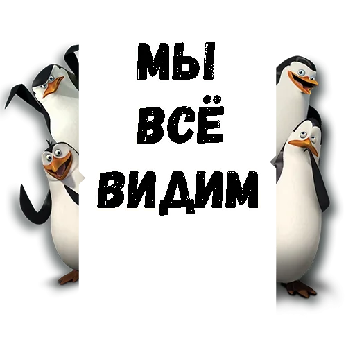 😉 Стикер «Пингвин из Мадагаскара» для Telegram