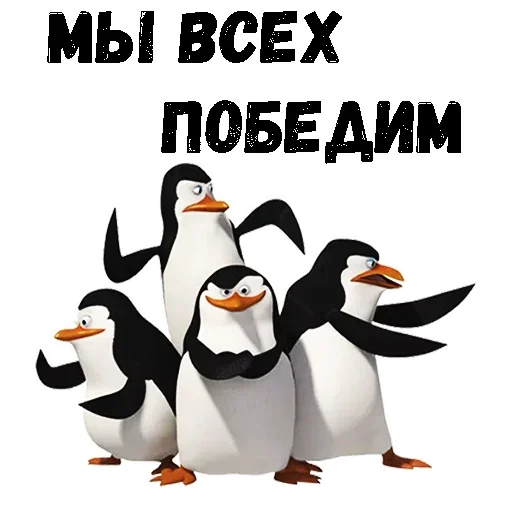 😜 Стикер «Пингвин из Мадагаскара» для Telegram