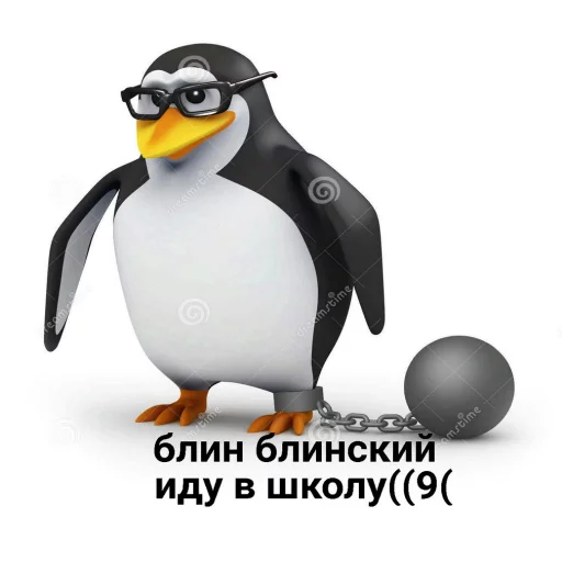 😒 Стикер «Pingvin Pack Memes» для Telegram