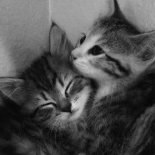 🫧 Стикер «Will you take my hand, like then?» для Telegram