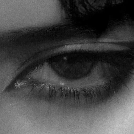 🫧 Стикер «Will you take my hand, like then?» для Telegram